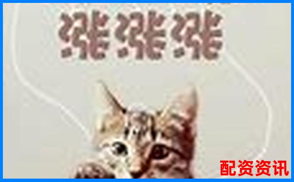 線上股票配資是干嘛的 新手入門攻略與操作技巧詳解-炒股+杠桿什么意思
