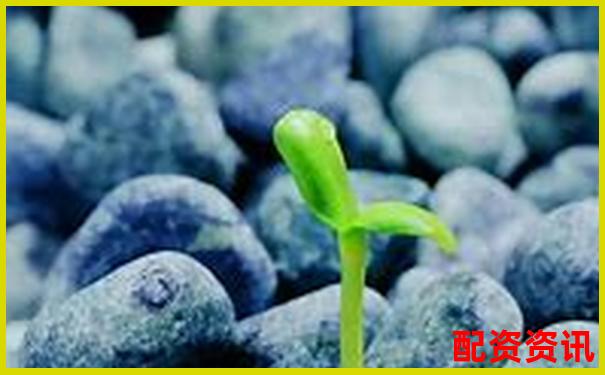股票配資利息為何偏高影響因素深度解析-股票杠桿融資平臺有哪些